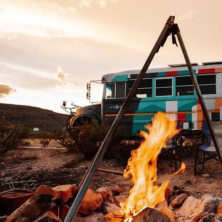 Camping At Desert Gardens Oasis In Lobo, Tx Van Horn Dış mekan fotoğraf