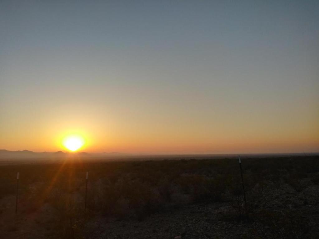 Camping At Desert Gardens Oasis In Lobo, Tx Van Horn Dış mekan fotoğraf