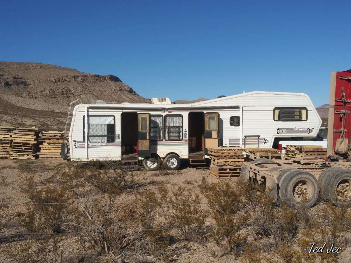 Camping At Desert Gardens Oasis In Lobo, Tx Van Horn Dış mekan fotoğraf