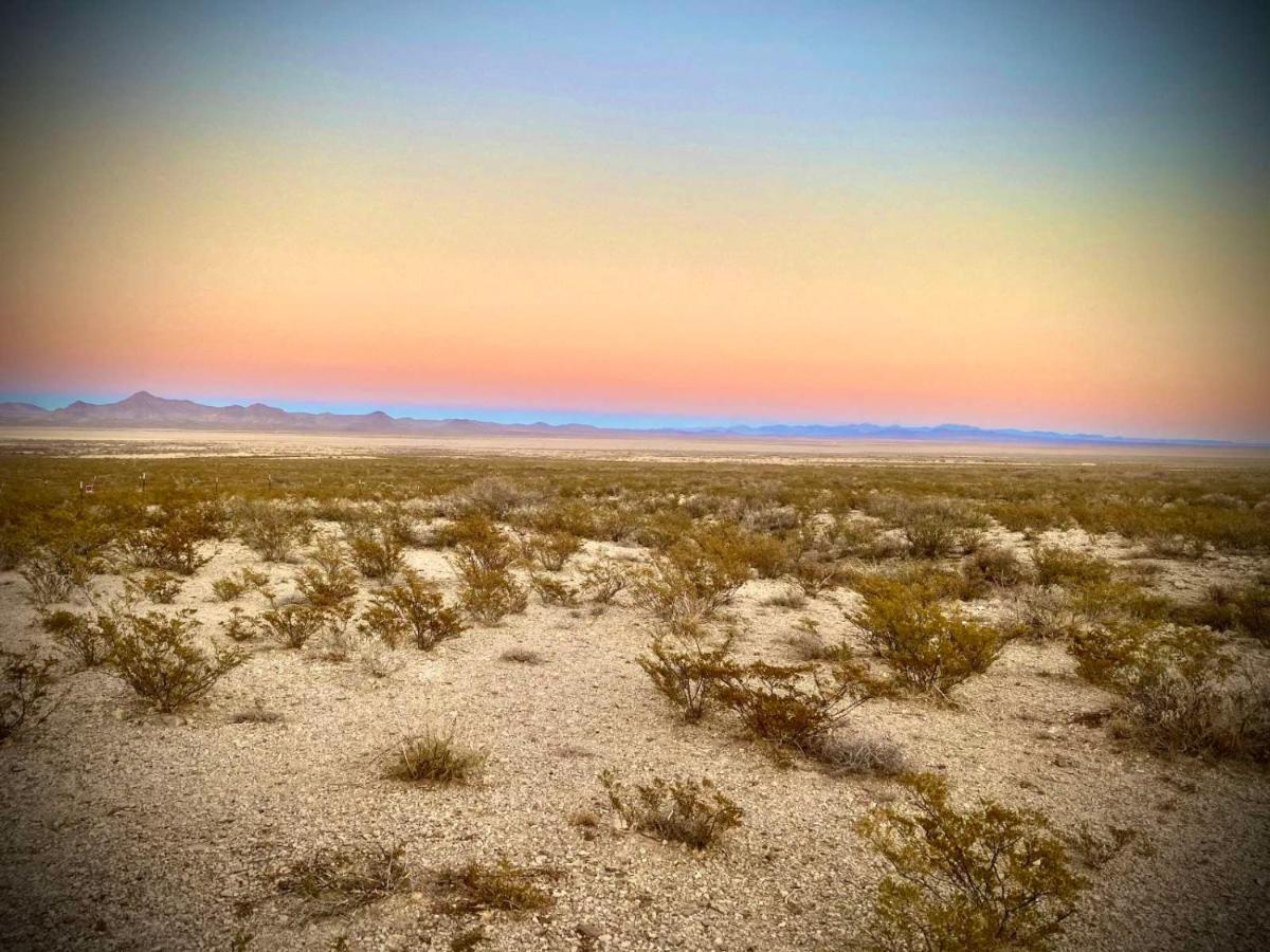 Camping At Desert Gardens Oasis In Lobo, Tx Van Horn Dış mekan fotoğraf